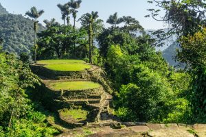 Ciudad Perdida – Teyuna Archaeological Park