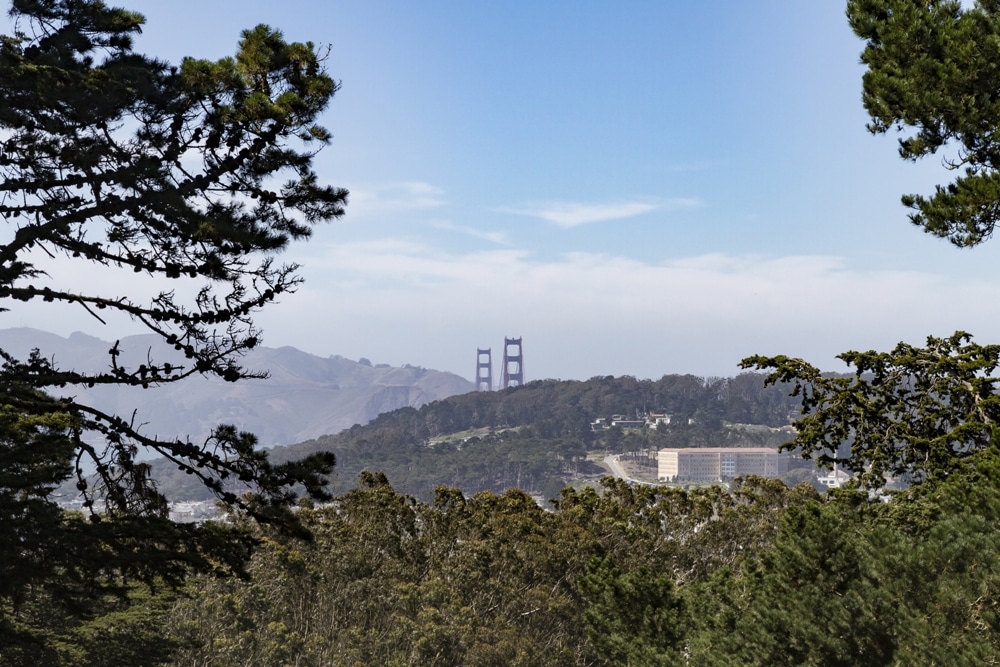 Buena Vista Park – San Francisco, California – Part One