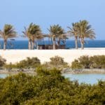 Tourico Vacations Reviews Sir Bani Yas Island