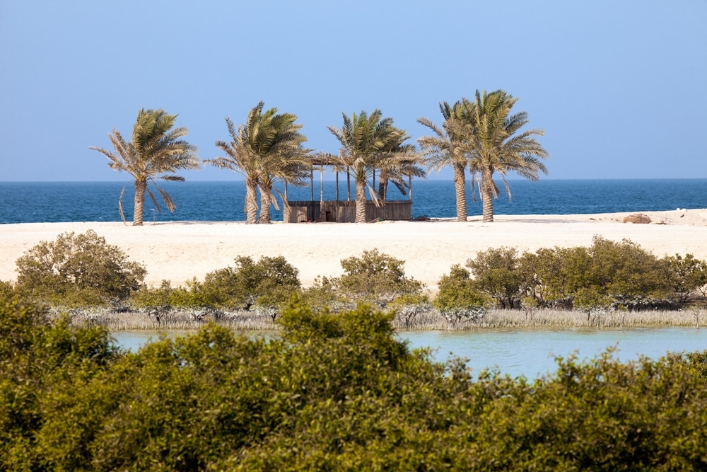 Tourico Vacations Reviews Sir Bani Yas Island